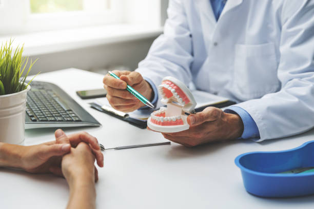  Clintondale, NY Holistic Dental Services Pros